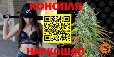 МДПВ Аша