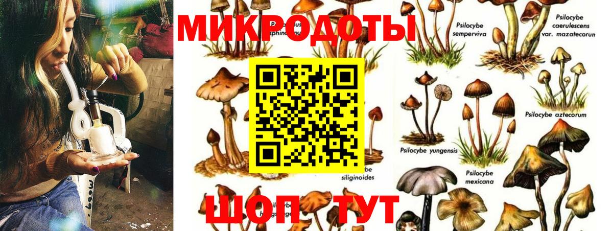 Ейск  купить наркотики цена  Вход с VPN  Галлюциногенные грибы прущие грибы 